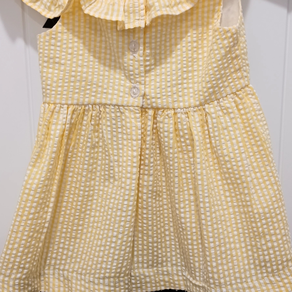 Counting Daisies Sz 2 Seersucker Toddler Sleeveless Dress, Ruffled Collar. #0045 - Picture 8 of 12